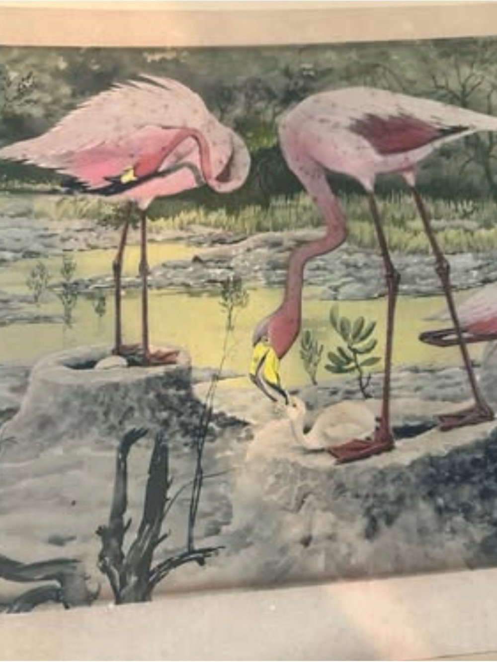 Vintage Flamingo Illustration Wall Art - Pink Flamingos
